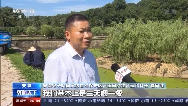 四川鳄鱼养殖温室大棚致富_鳄鱼养殖场视频_大棚养鳄鱼视频