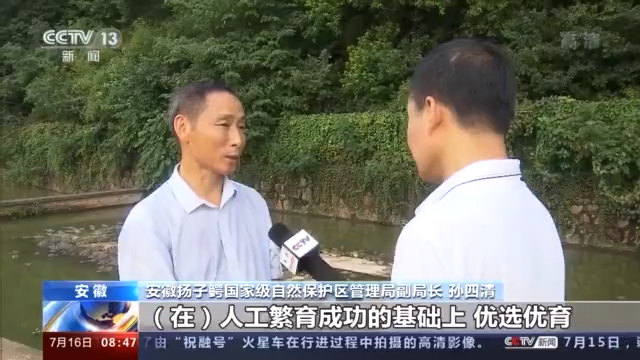 大棚养鳄鱼视频_四川鳄鱼养殖温室大棚致富_鳄鱼养殖场视频
