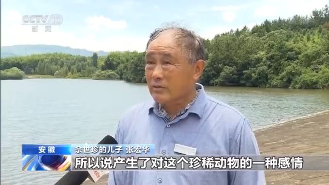 鳄鱼养殖场视频_大棚养鳄鱼视频_四川鳄鱼养殖温室大棚致富