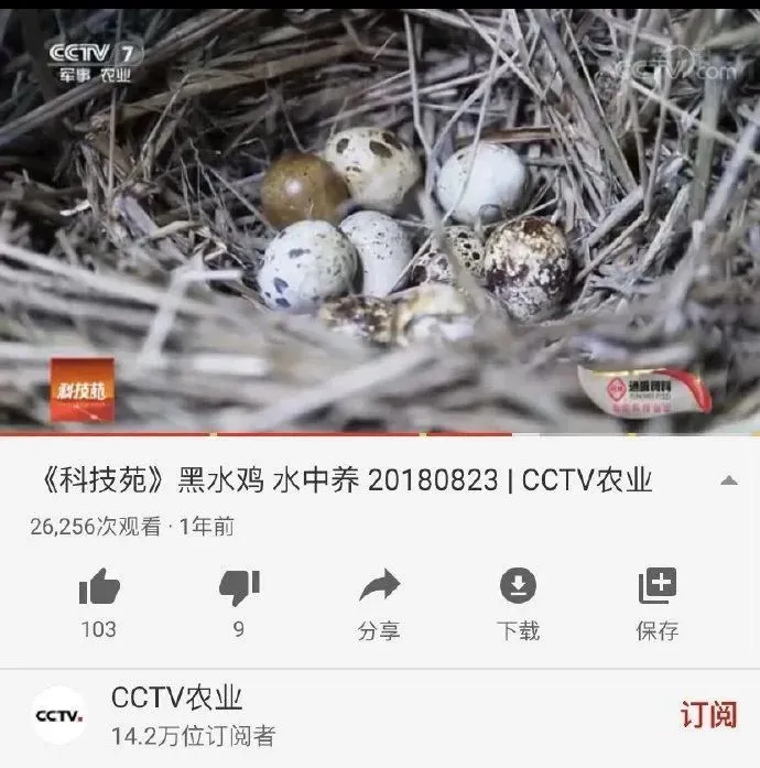 致富养殖北方鱼怎么样_致富养殖北方鱼有哪些_北方养殖鱼致富
