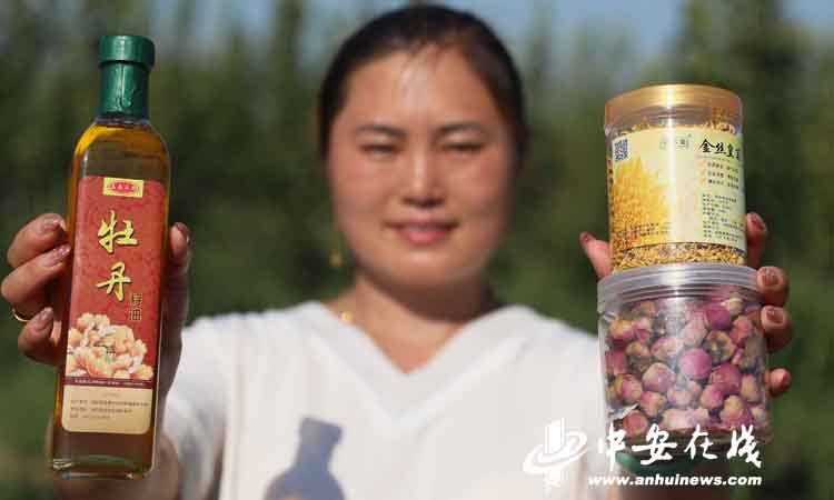 亳州种植致富_亳州适合种植什么药材_亳州种植什么