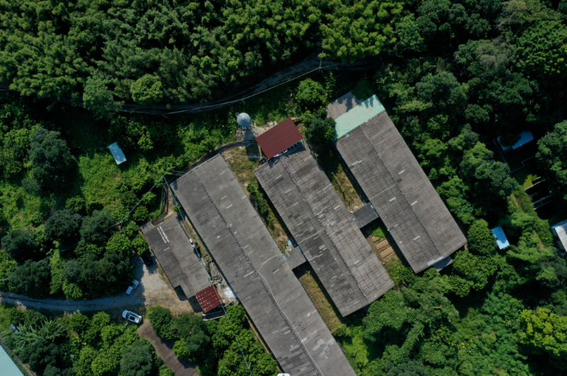【百千万工程】阳春：闲置猪圈飞出致富“灵芝鸽”