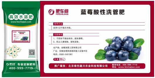 大棚蓝莓种植技术与管理_东北大棚蓝莓种植技术_大棚东北种植技术蓝莓视频