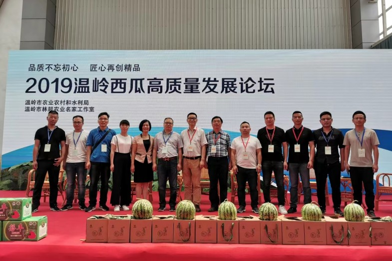 西瓜河北种植露地技术要求_河北西瓜基地在哪_河北露地西瓜种植技术