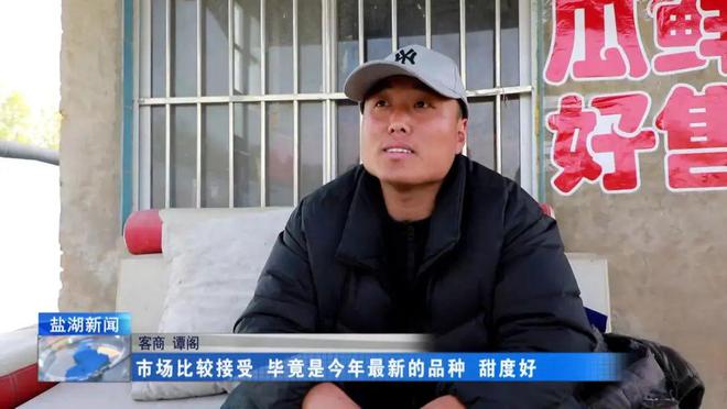 黄瓜种植前景及风险_农业致富黄瓜种植_黄瓜种植成本及利润