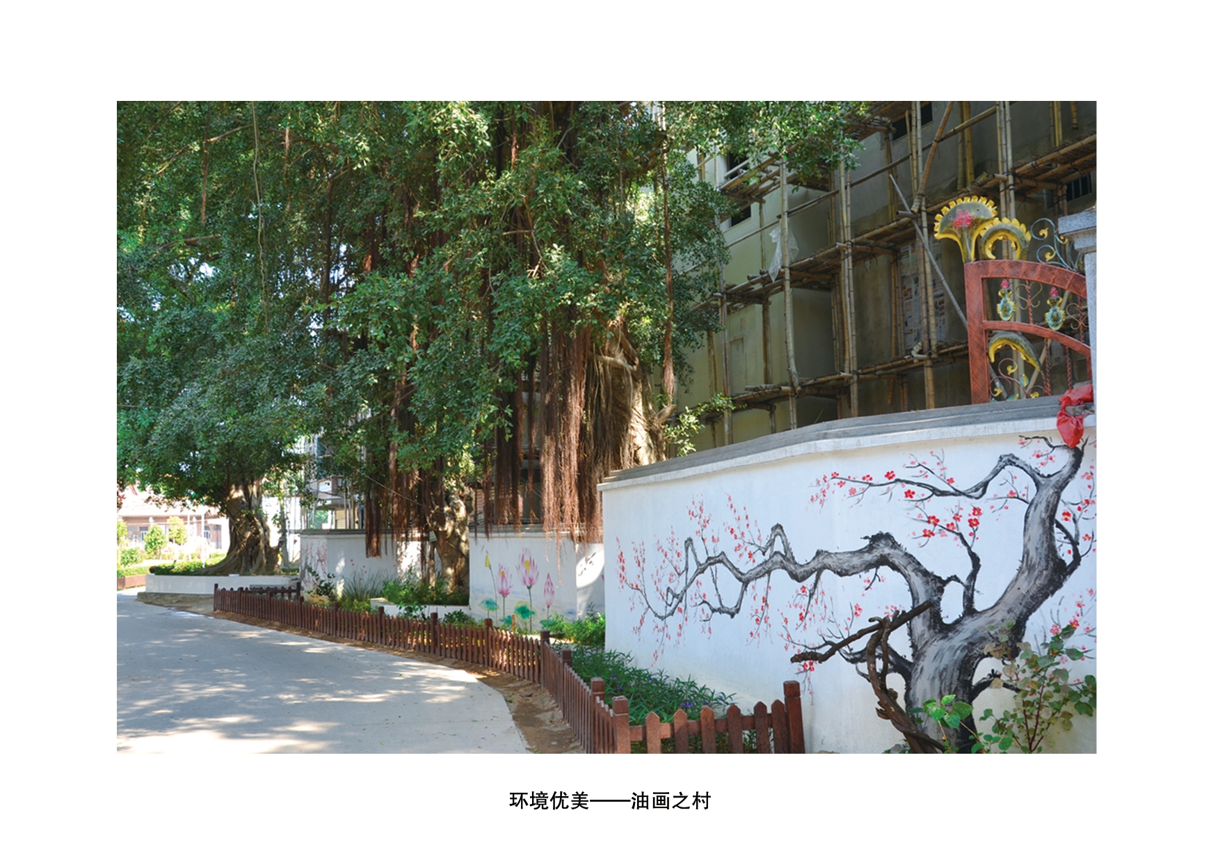 借鉴优质村庄规划经验_村庄借鉴优质规划经验做法_村庄规划经验做法
