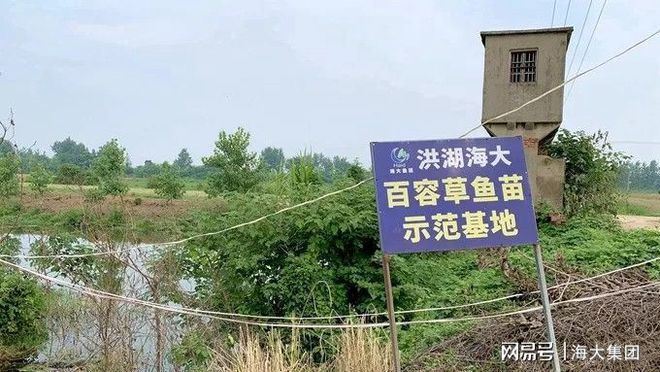 养殖致富带头简介_养殖致富带头人典型材料_致富养殖带头人作用发挥