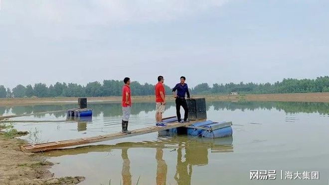 养殖致富带头简介_致富养殖带头人作用发挥_养殖致富带头人典型材料