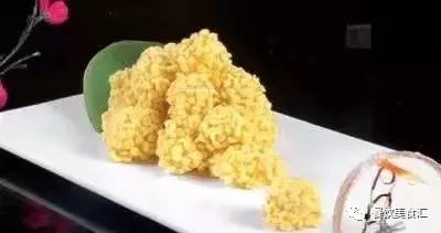 绿盘鲍鱼养殖_绿鲍鱼养殖技术生品_养殖鲍鱼
