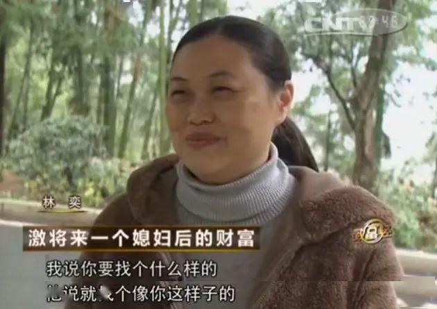 血蛤养殖致富_血蛤养殖致富_血蛤养殖致富