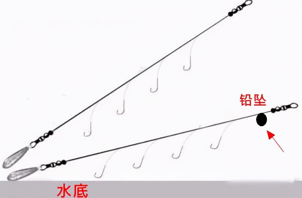 养草鱼技术指导_草鱼鱼的养殖技术_草鱼养殖技术与利润