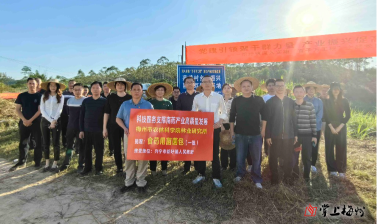致富经木耳技术视频_木耳的销售模式_木耳赚钱吗