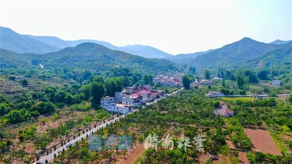 致富经樱桃种植视频_致富经北京大樱桃_致富经大樱桃种植视频