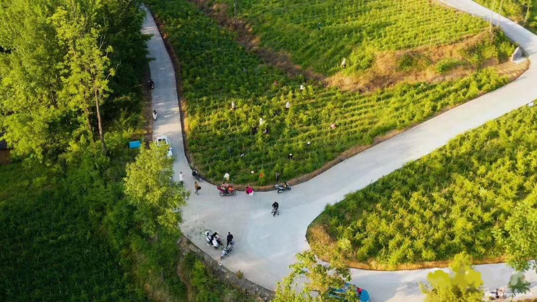 致富经北京大樱桃_致富经樱桃种植视频_致富经大樱桃种植视频