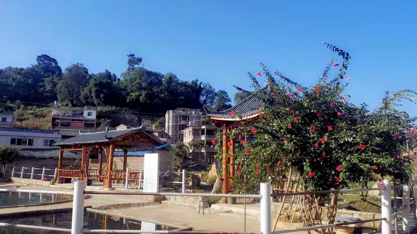 优秀村庄规划案例_借鉴优质村庄规划经验_优秀村庄发展规划案例