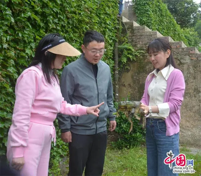美蛙养殖技术视频教程_美蛙养殖视频_美蛙养殖技术与管理