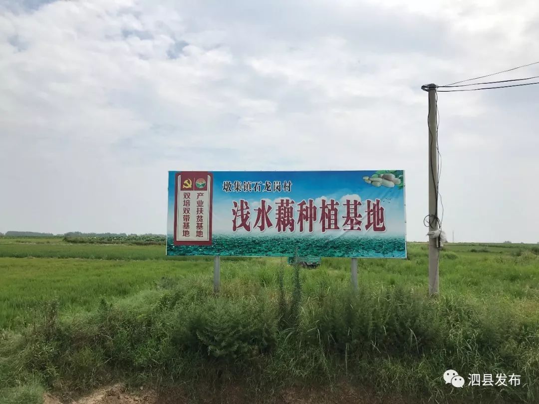 致富奇书百科_致富经陈清是哪期_陈致富