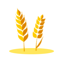 盐碱地种植什么农作物_致富经盐碱地_盐碱地种田