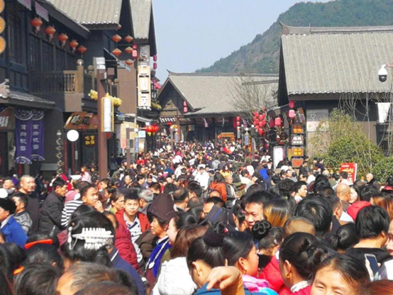 致富经养斗鸡视频v_养殖斗鸡致富视频_养殖斗鸡赚钱吗