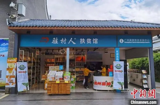 肉鸽养殖视频致富经_致富经养殖肉鸽视频_视频致富养殖肉鸽是真的吗