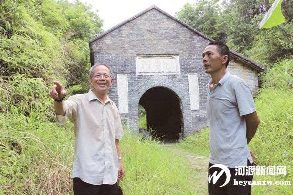 春茶种植致富视频_视频致富种植春茶是真的吗_春茶采摘视频