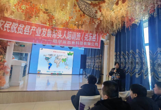 黄豆种植管理技术视频_黄豆种植管理技术_黄豆种植与管理