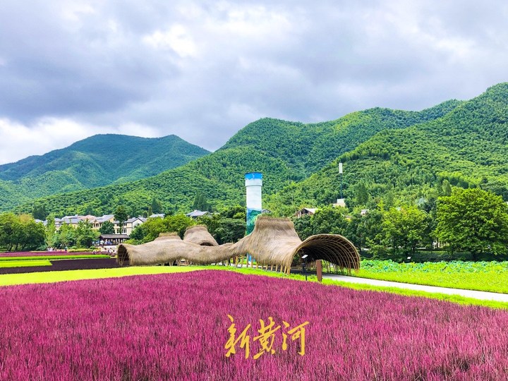 致富多元养殖思路及措施_致富多元养殖思路和措施_多元养殖致富思路
