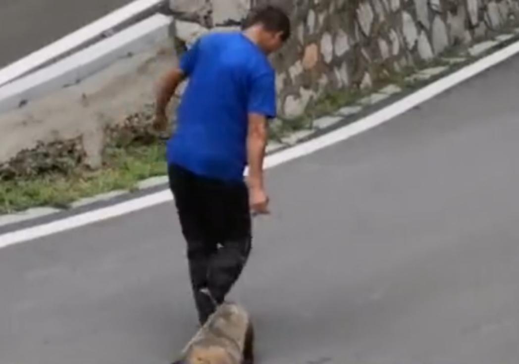 獾养殖技术幼崽价格_獾养殖前景_獾幼崽多少钱一只