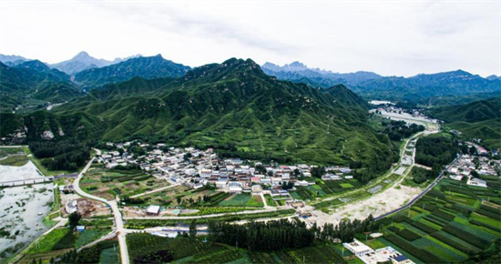 河北易县种植致富_河北农村种植什么赚钱不愁销路_河北种植什么最赚钱
