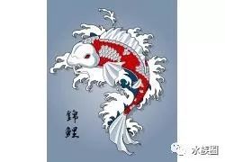 日本人眼中，锦鲤可不仅仅是好看的鱼