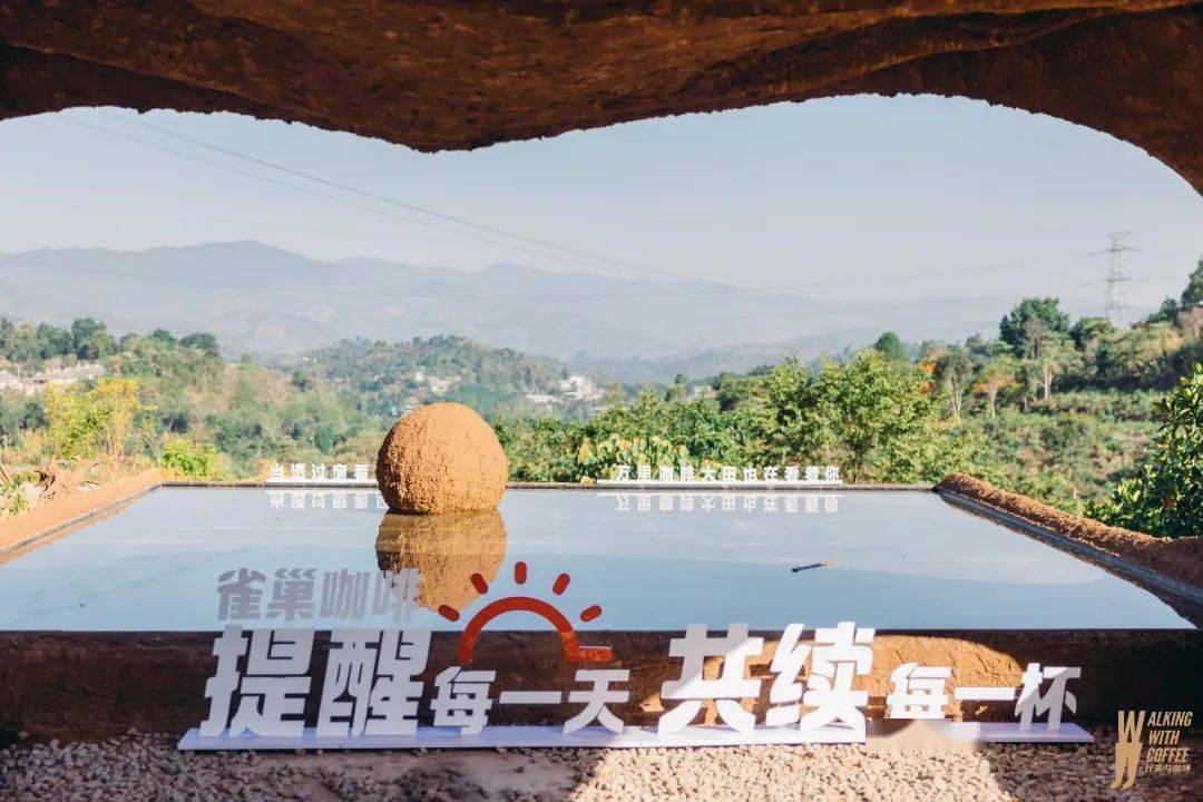咖啡农业_咖啡农户_种植咖啡助咖农致富