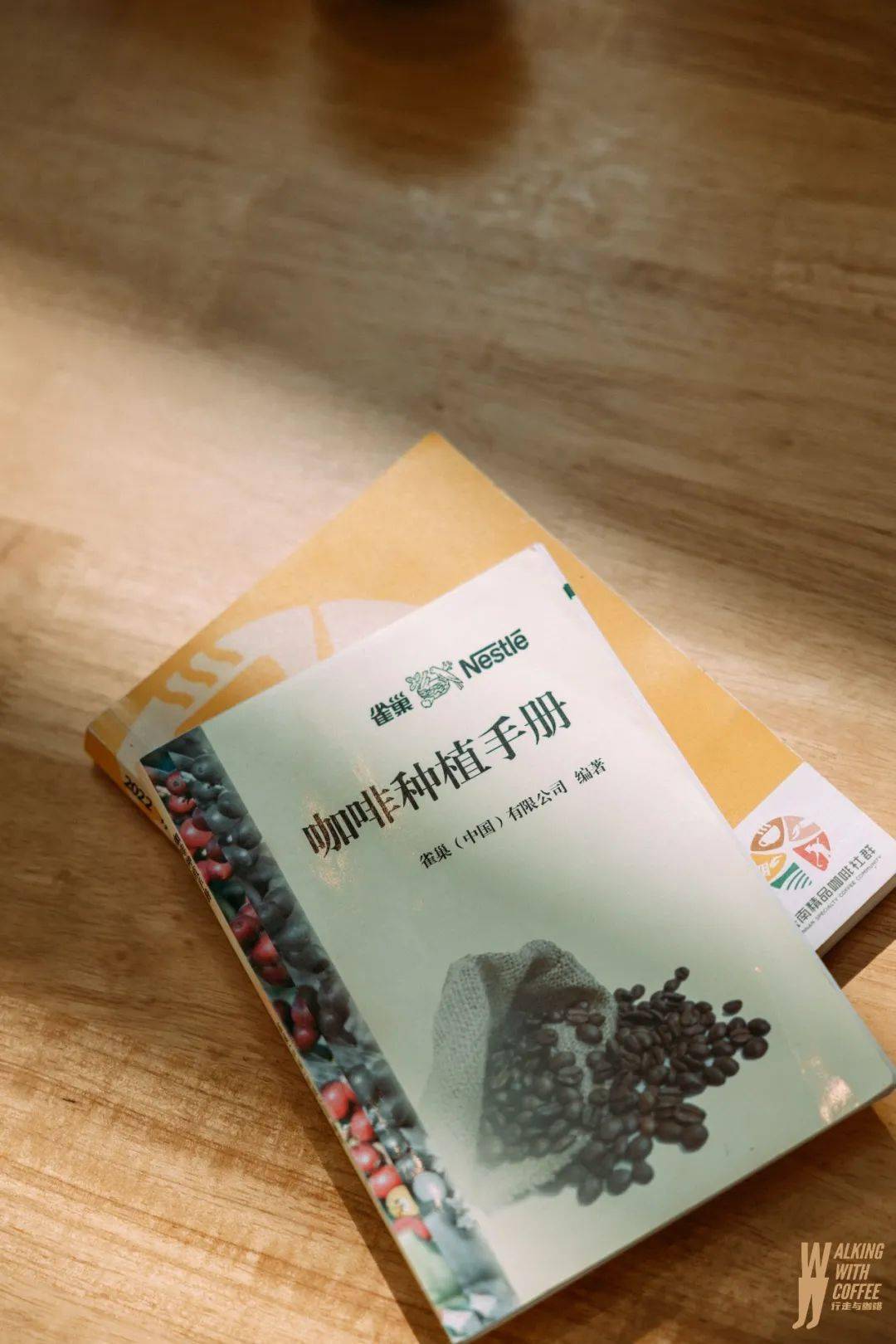 咖啡农业_种植咖啡助咖农致富_咖啡农户