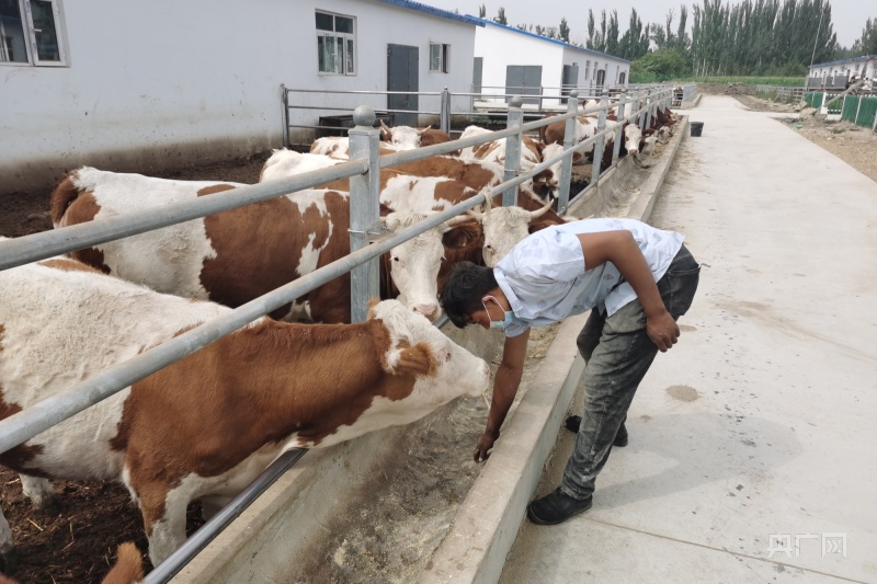 养殖致富利器_致富养殖什么最赚钱_养殖致富经