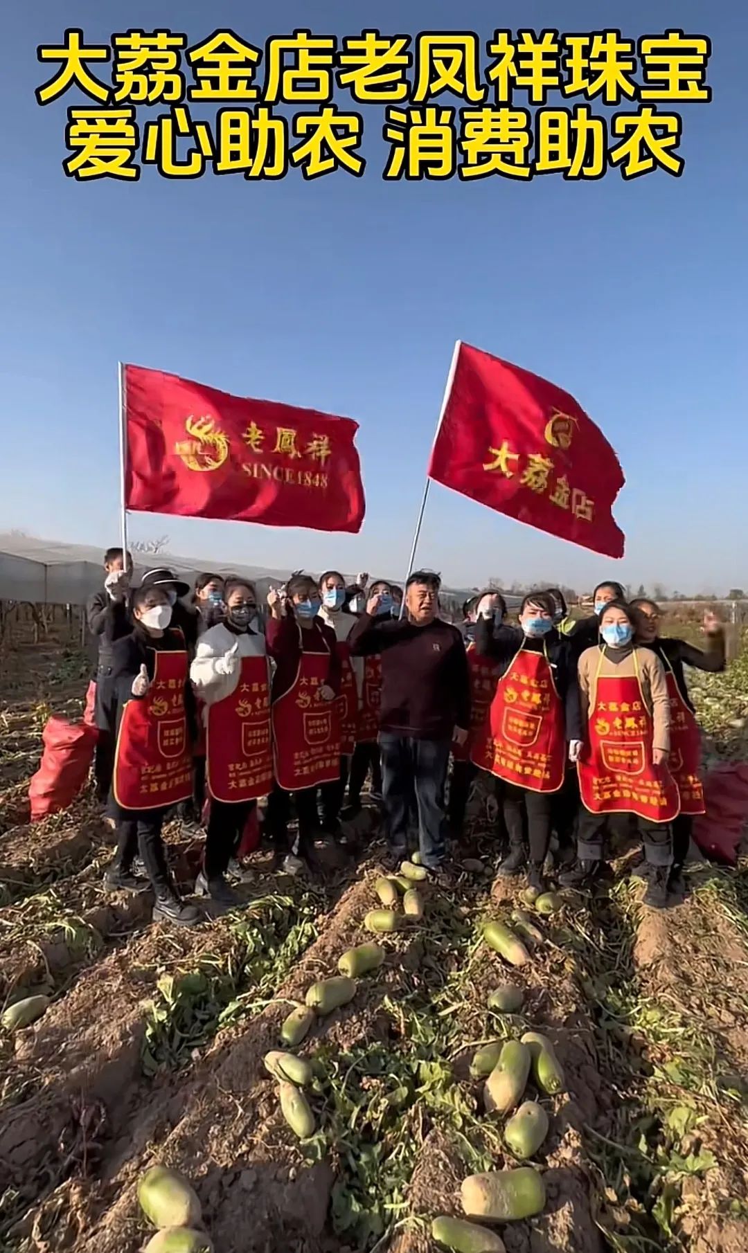 领域认证优质回答经验分享_提交优质回答_优质回答需要审核多久