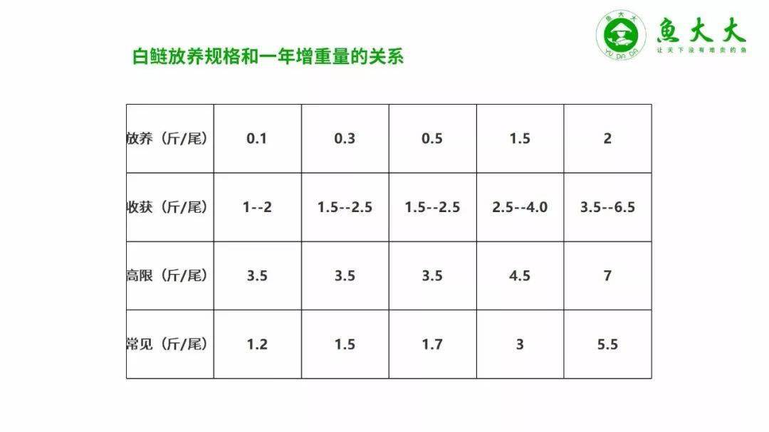 白鲢养殖技术视频_白鲢的养殖_白鲢高产养殖技术
