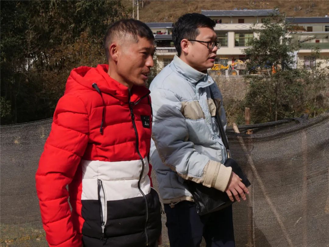 养殖创业牛羊_养殖羊牛致富_养殖牛羊赚钱吗