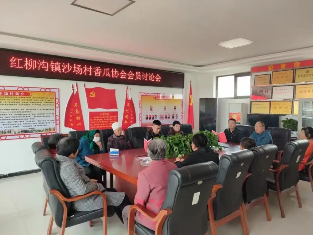 大棚种植基地航拍_如东 大棚种植 致富_南通种大棚怎么样