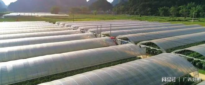 龙州县养殖土元致富_致富经土元养殖视频_土元养殖合作基地