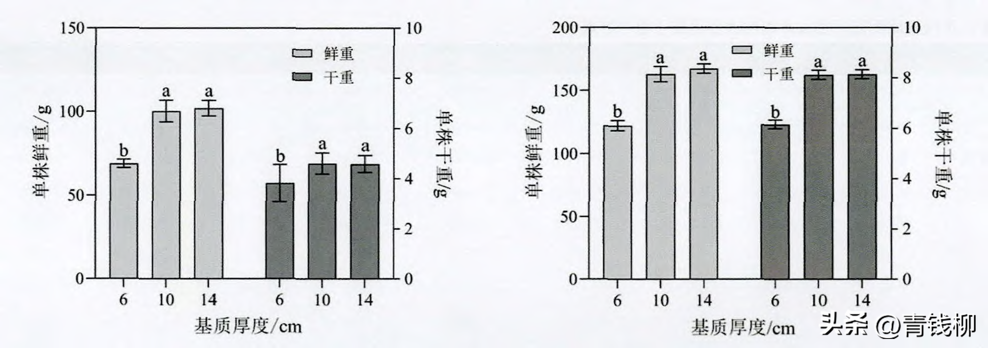 温室立体图片_温室立体种植技术_立体温室种植技术规范