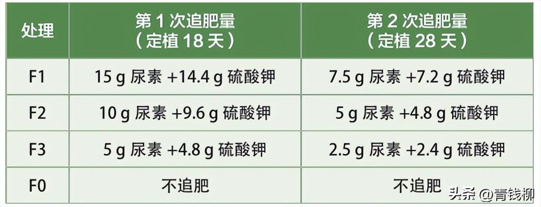 温室立体图片_立体温室种植技术规范_温室立体种植技术