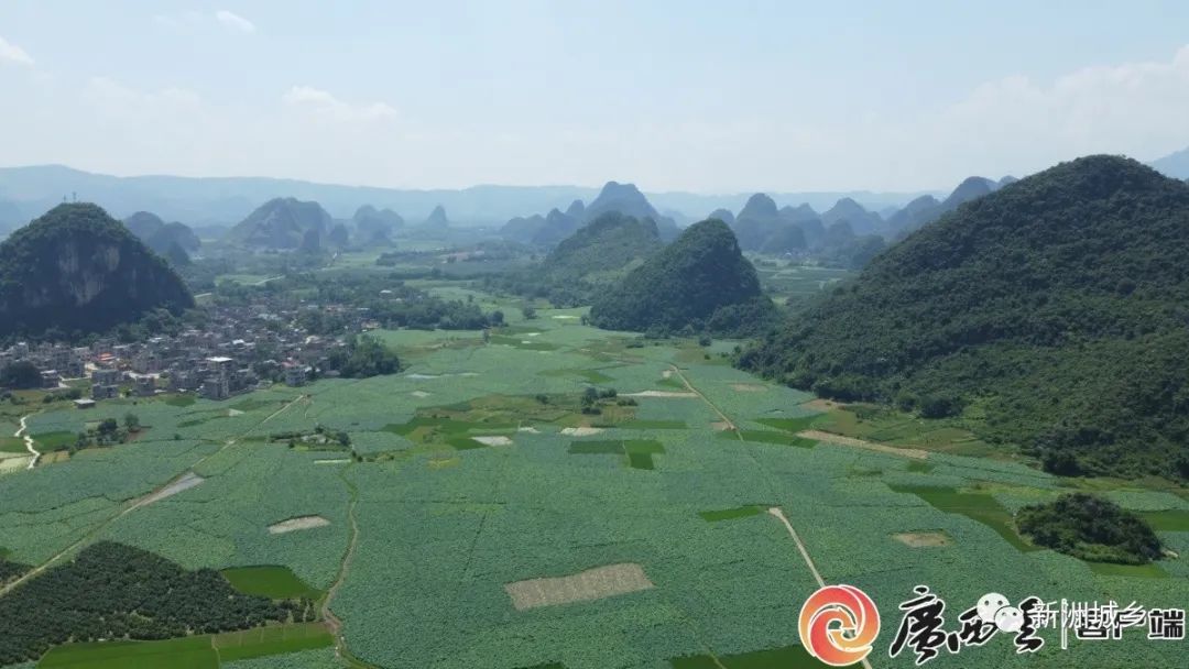 宜宾种植致富思路_宜宾江北致富路_宜宾致富石材