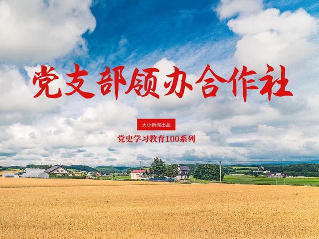 「党史学习教育100系列」党支部领办合作社｜招远市金岭镇大户陈家村“统-分