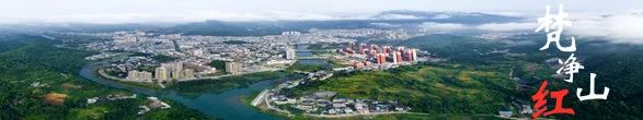 致富农村_农场种植致富新路_致富经农场