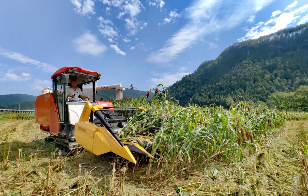 农场种植致富新路_致富农村_致富经农场
