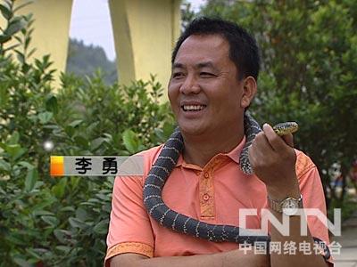 致富经养蛇视频_致富经养蛇_重庆养蛇大王致富经