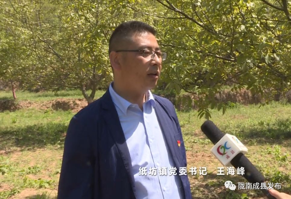 农村种植核桃有没有补贴政策_致富核桃种植农村有补贴吗_农村核桃种植致富