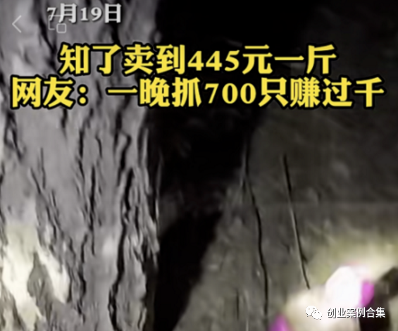 人工养殖的知了猴多长时间_人工知了猴几年成才_金蝉人工养殖技术知了猴养殖技术