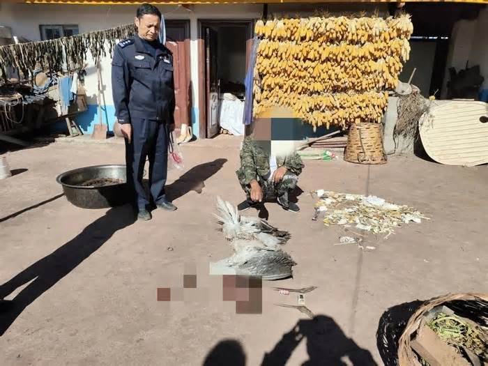 男子杀害“高原神鸟”黑颈鹤烹食被刑拘：系国家一级重点保护野生动物，中国特有种