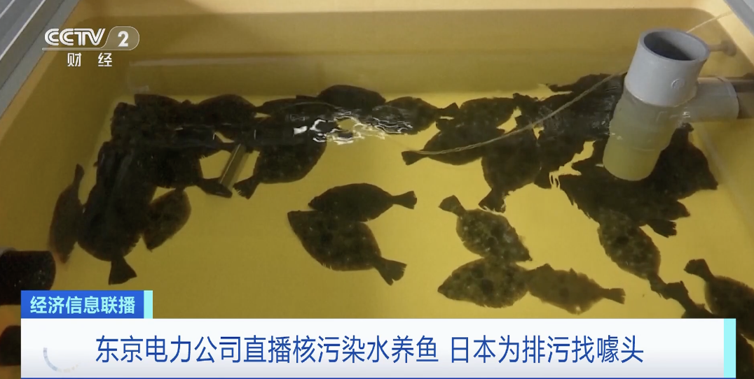 海水养殖致富宝典_海水致富养殖宝典下载_海水养殖什么最赚钱
