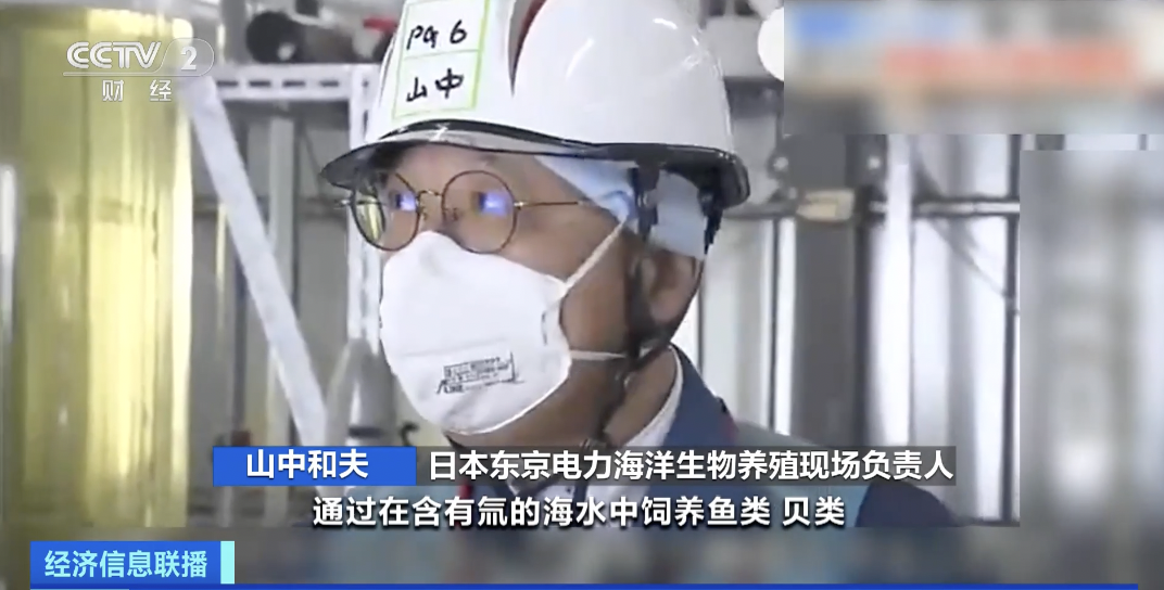 海水养殖什么最赚钱_海水致富养殖宝典下载_海水养殖致富宝典